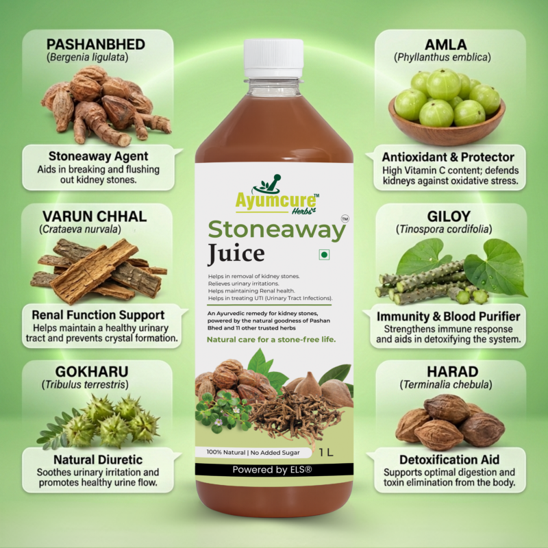 Stoneaway Juice | Pashan Bhed + Gokshura | Kidney Stone & UTI Support | Unisex